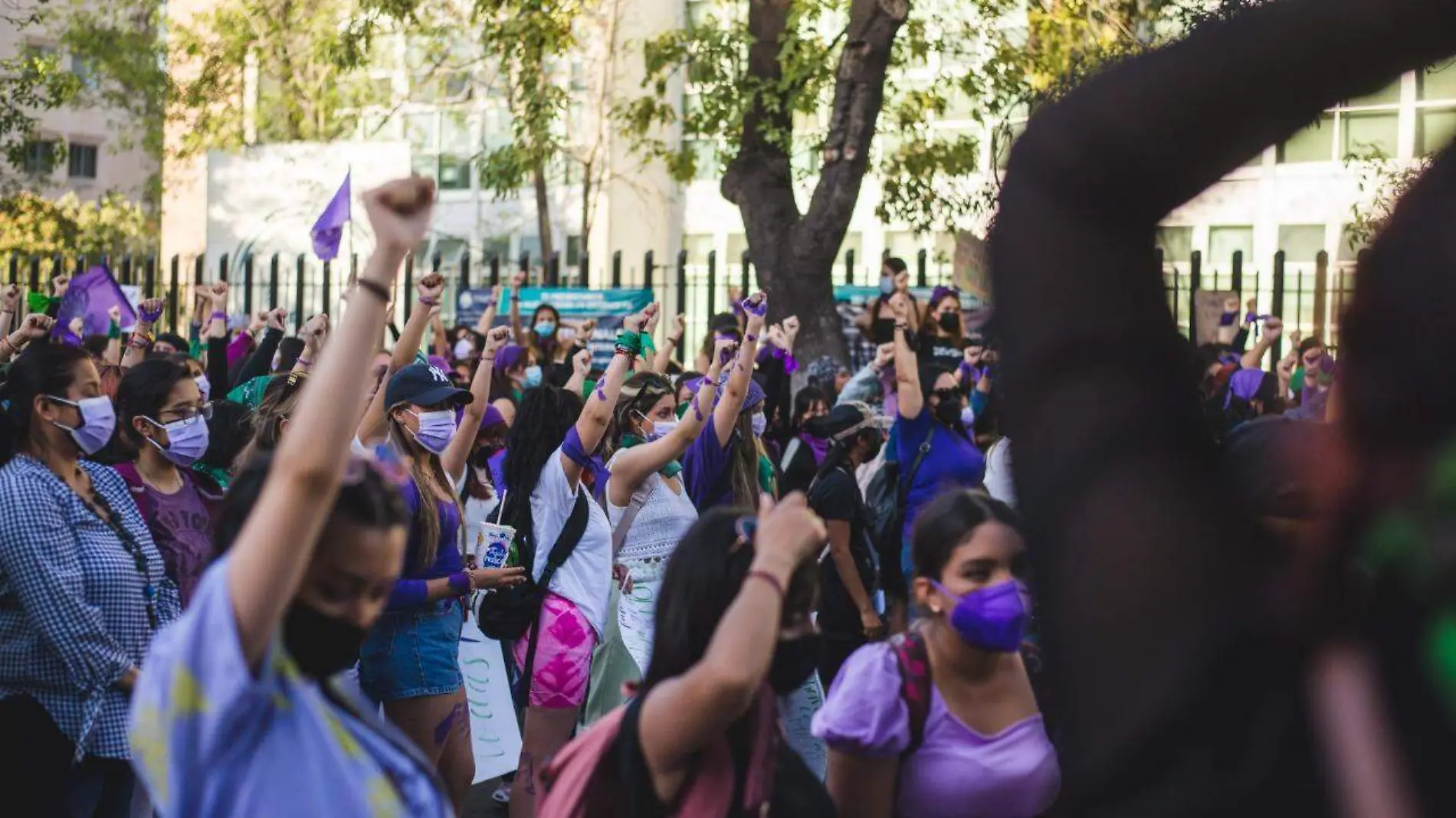 feminista feministas marcha colectivo  (35)